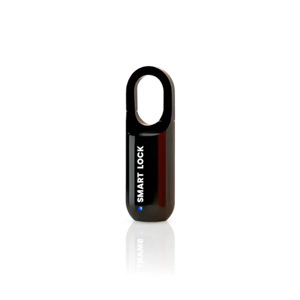 USB Charging Bag Fingerprint Lock